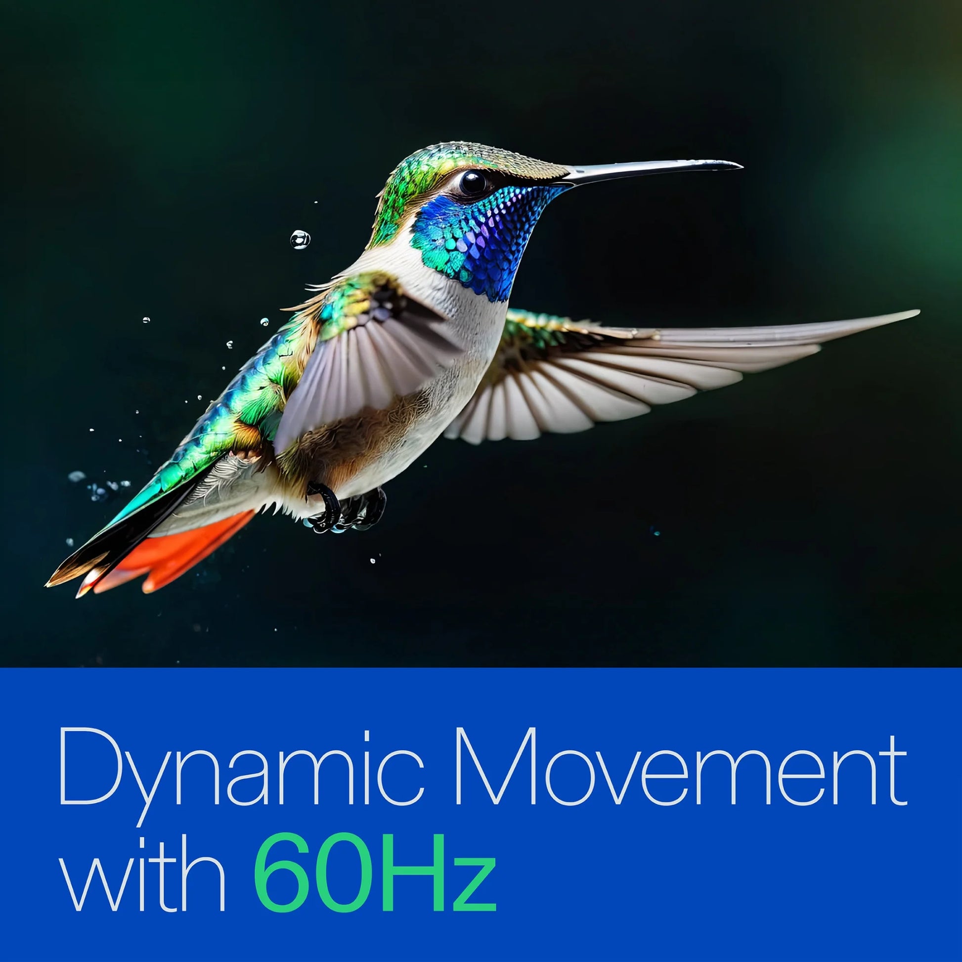 55” Class 4K UHD (2160P) LED Roku Smart Television HDR (100012586)